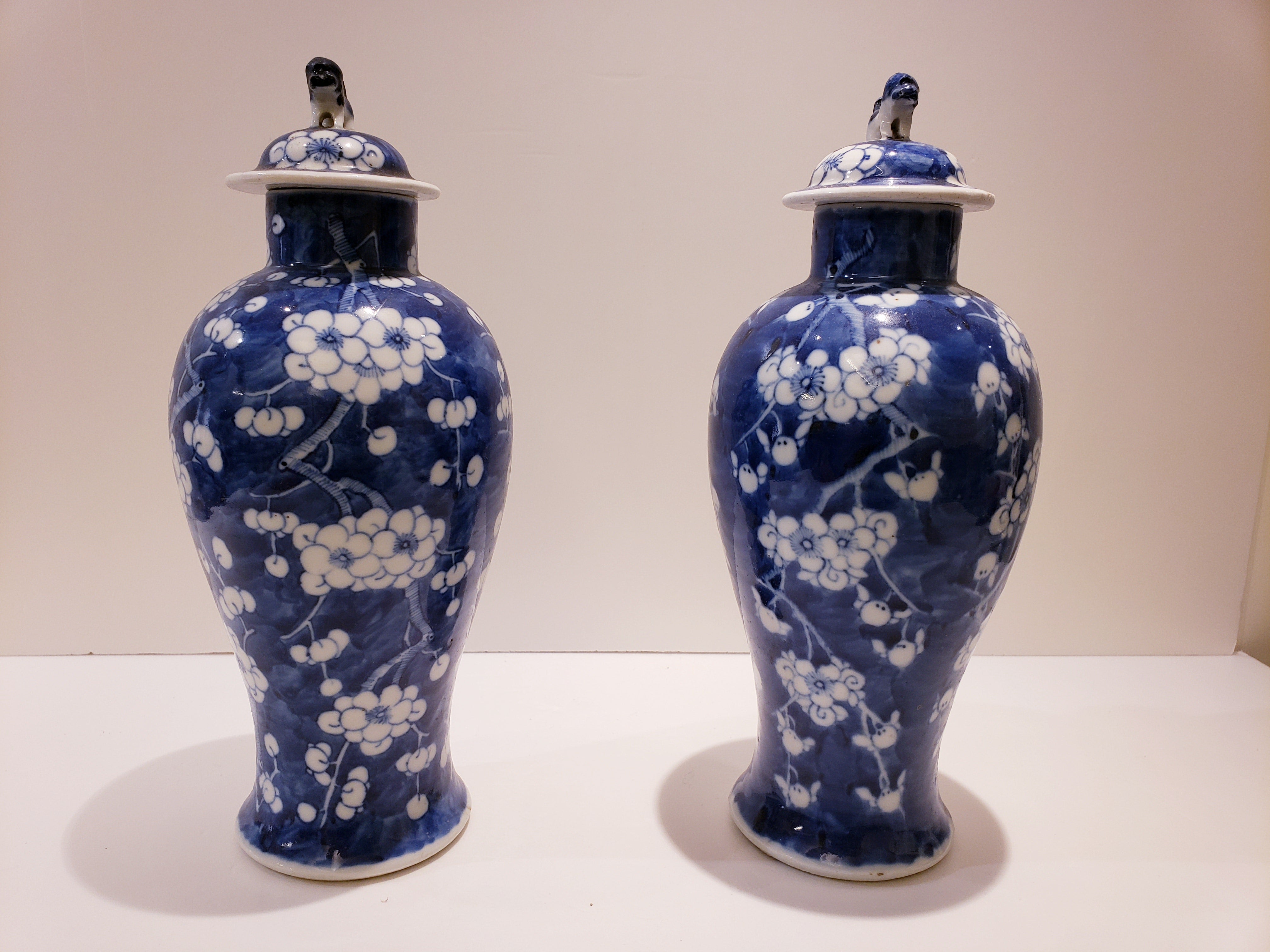 Pair of Blue & White Vases from Kangxi Era Qing Dynasty