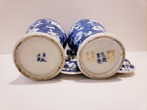 Pair of Blue & White Vases from Kangxi Era Qing Dynasty