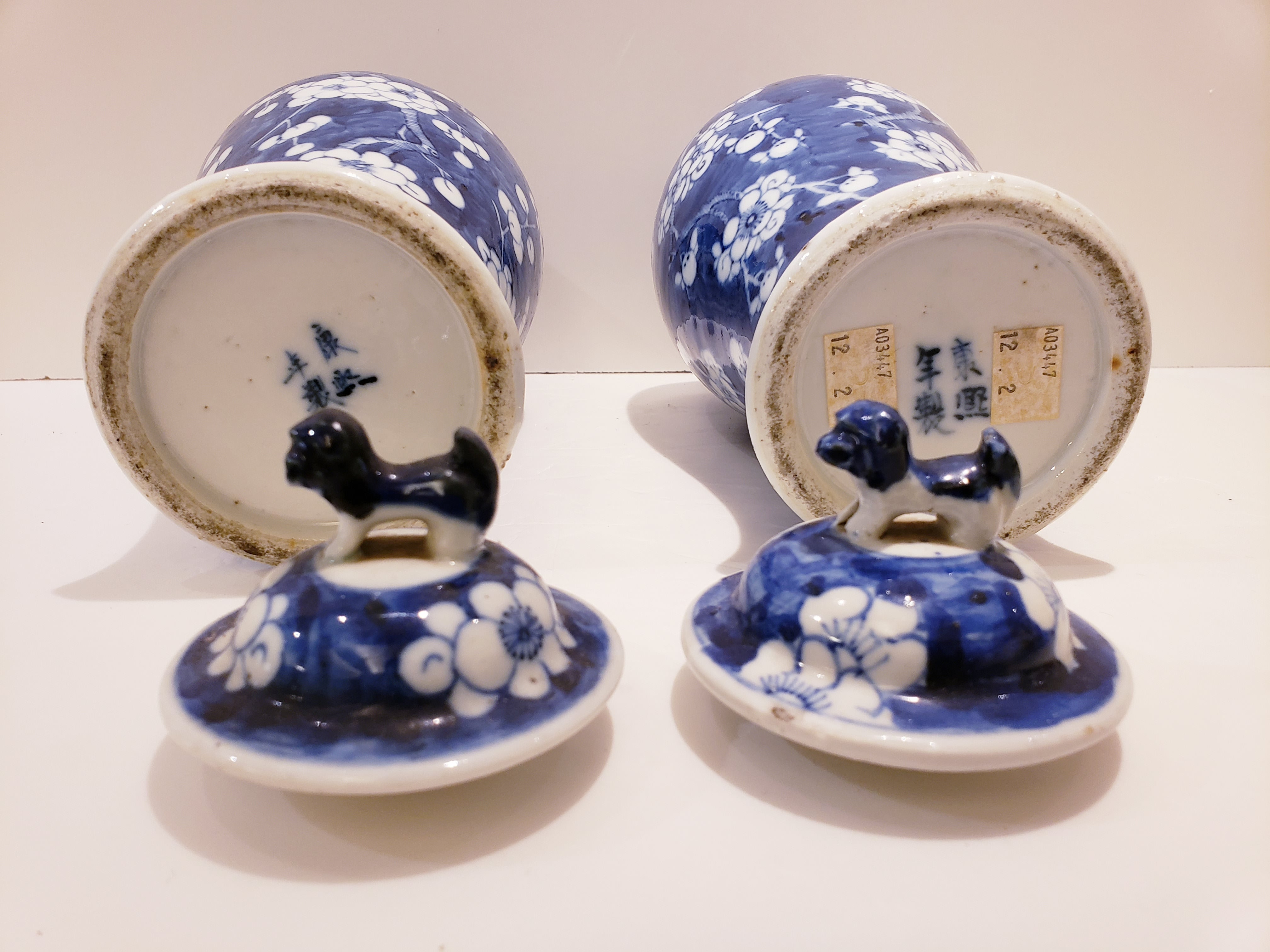 Pair of Blue & White Vases from Kangxi Era Qing Dynasty