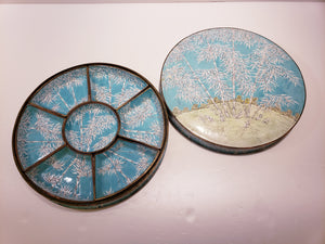 Enamel Tortoise Desert Tray